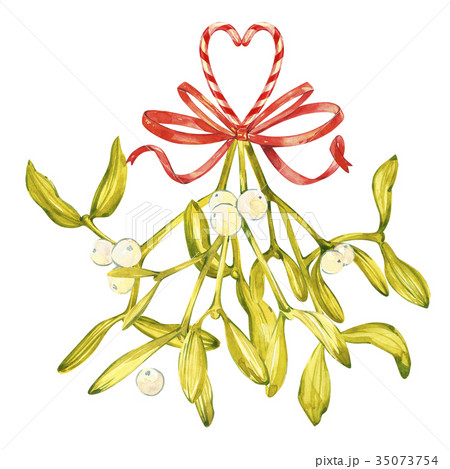 Watercolor illustration of green mistletoe. The 35073754