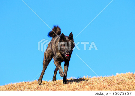 快晴だね♪ 快晴だね♪ 35075357