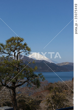 箱根恩賜公園から望む富士山 35075449