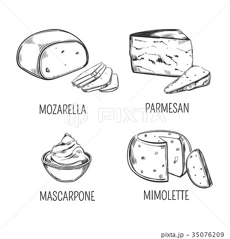 Mozzarella cheese and parmesan, mimolette sketches 35076209