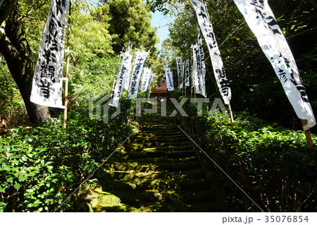 鎌倉市 杉本寺 Sugimotodera temple 鎌倉市 杉本寺 Sugimotodera temple 35076854