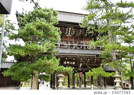 雨の知恩寺 雨の知恩寺 35077585