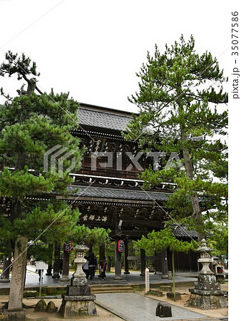 雨の知恩寺 35077586