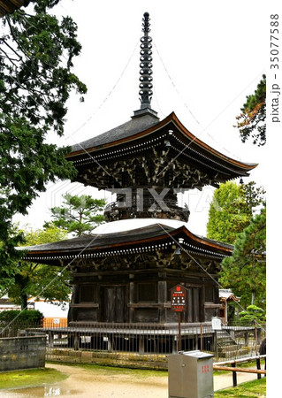 雨の知恩寺 雨の知恩寺 35077588