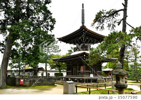 雨の知恩寺 35077590