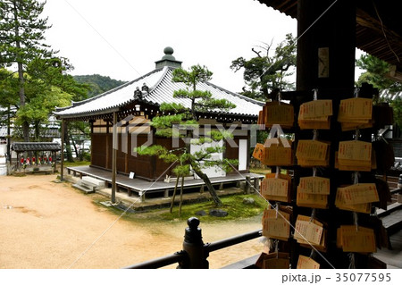 雨の知恩寺 35077595