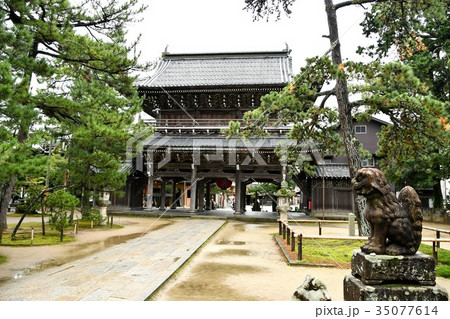 雨の知恩寺 雨の知恩寺 35077614