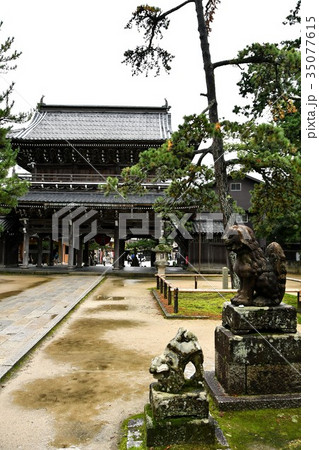 雨の知恩寺 35077615