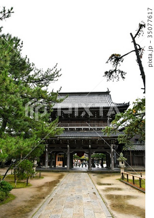 雨の知恩寺 35077617