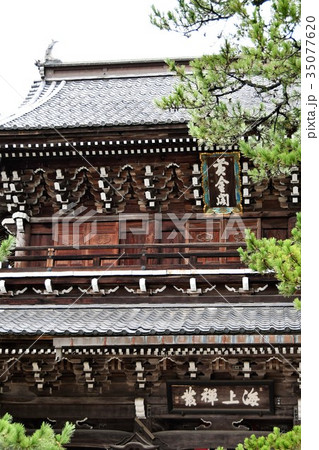 雨の知恩寺 雨の知恩寺 35077620