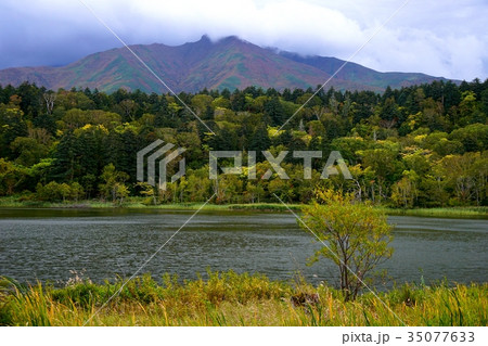 利尻島の姫沼 35077633