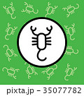 Scorpion icon sign and symbol on green background 35077782