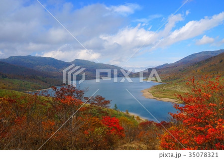 群馬県・秋の野反湖 35078321