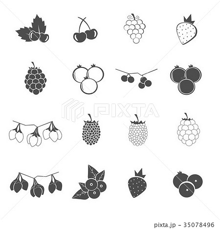 berry collection icons set vector 35078496