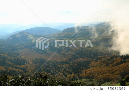 芳ヶ平(渋峠より)(秋の朝) 芳ヶ平(渋峠より)(秋の朝) 35081361