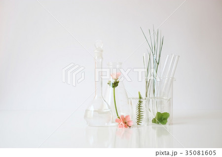 natural organic skincare beauty laboratory 35081605