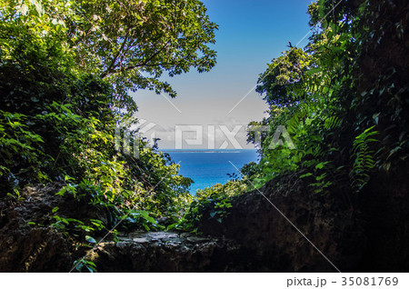 久高島を望む 35081769