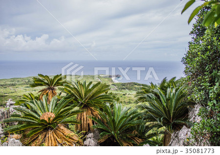 辺戸岬 辺戸岬 35081773