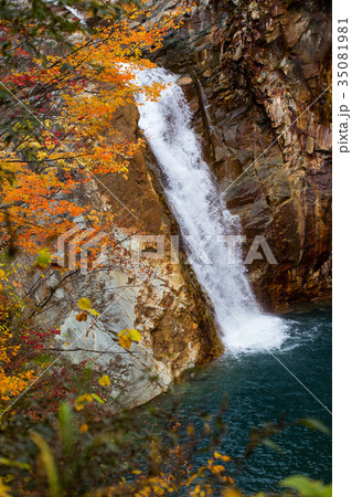 鳥越の滝 35081981