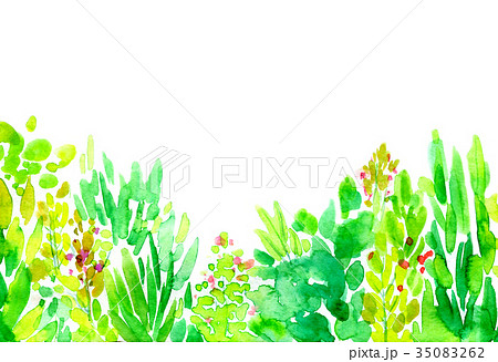 水彩イラスト 植物 フレームのイラスト素材 35083262 Pixta