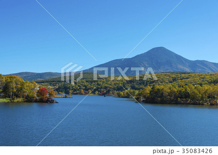 秋の白樺湖と蓼科山 35083426