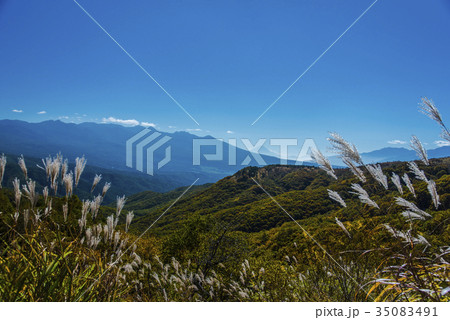 八ヶ岳と富士山と中央アルプス 35083491