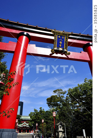 東京　門前仲町　富岡八幡宮 35085825