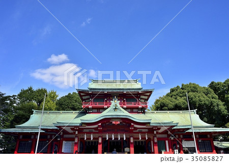 東京　門前仲町　富岡八幡宮 35085827