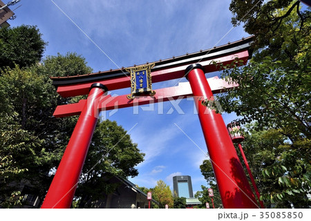 東京　門前仲町　富岡八幡宮 35085850