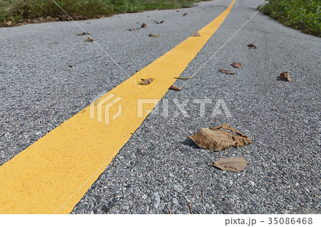 yellow traffic lines with dry leaf on the ground. yellow traffic lines with dry leaf on the ground. 35086468
