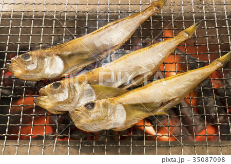 ハタハタ ハタハタ 35087098