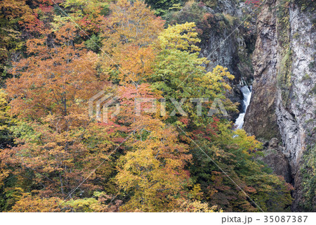 紅葉の大田切渓谷と惣滝最下段の滝 紅葉の大田切渓谷と惣滝最下段の滝 35087387