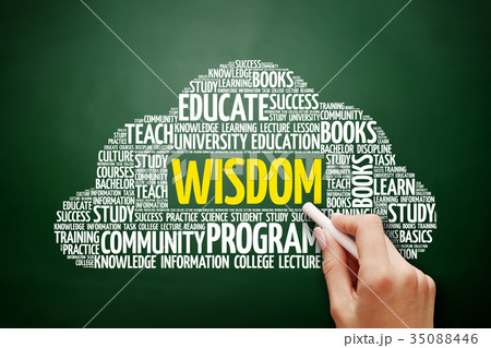 Wisdom word cloud Wisdom word cloud 35088446