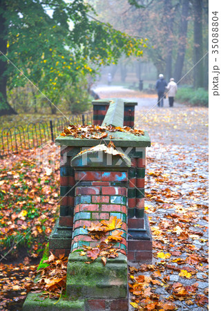Senior couple enjoying walking in autumn Park Senior couple enjoying walking in autumn Park 35088804