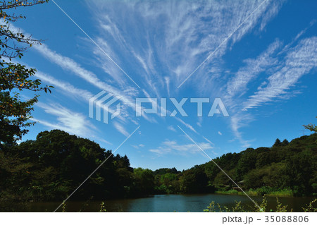 初秋の三ッ池公園 初秋の三ッ池公園 35088806