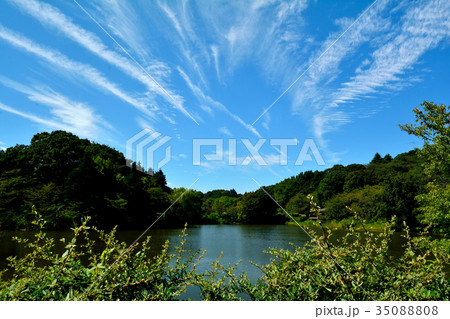初秋の三ッ池公園 初秋の三ッ池公園 35088808