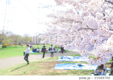 お花見をする人々 会社員 桜の季節 染井吉野 ソメイヨシノ 公園でお花見 お花見をする人々 会社員 桜の季節 染井吉野 ソメイヨシノ 公園でお花見 35089700