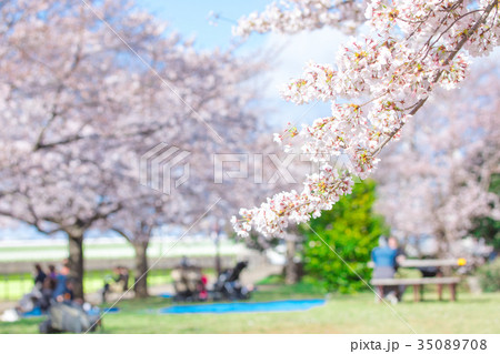 お花見をする人々 会社員 桜の季節 染井吉野 ソメイヨシノ 公園でお花見 お花見をする人々 会社員 桜の季節 染井吉野 ソメイヨシノ 公園でお花見 35089708