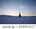夕暮れの雪の丘の一本の木 35091417