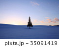夕暮れの雪の丘の一本の木 35091419