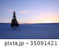 夕暮れの雪の丘の一本の木 35091421