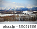 白銀の美瑛〜富良野の風景 35091666