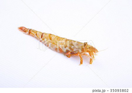 もさえび　食材 35093802