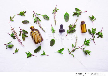 Holy Basil Essential Oil in a Glass Bottle  35095080