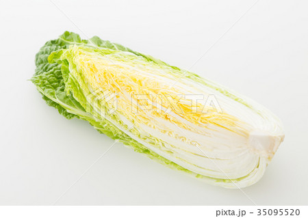 白菜 35095520