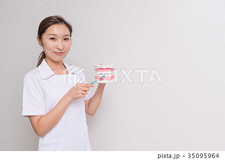 歯科衛生士 歯科衛生士 35095964