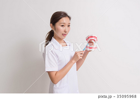 歯科衛生士 歯科衛生士 35095968