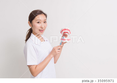 歯科衛生士 35095971