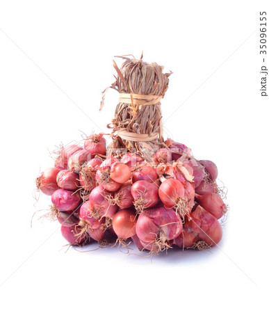 Shallot use for cooking. Shallot use for cooking. 35096155