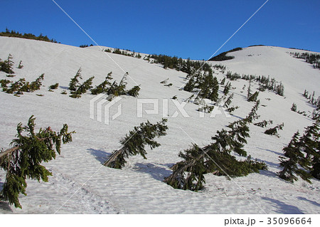 残雪の山 35096664
